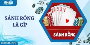 Những điều hấp dẫn đến từ sảnh rồng là gì?