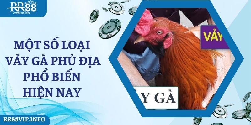 Một số loại vảy gà phủ địa phổ biến hiện nay 